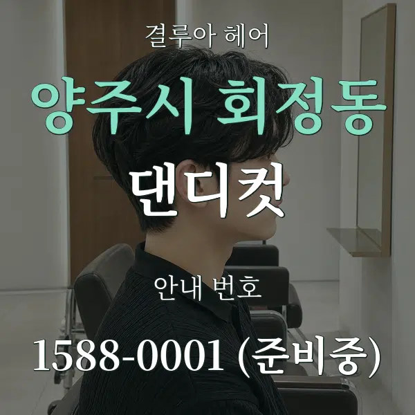 양주시 회정동 댄디컷 대표 안내 그래픽