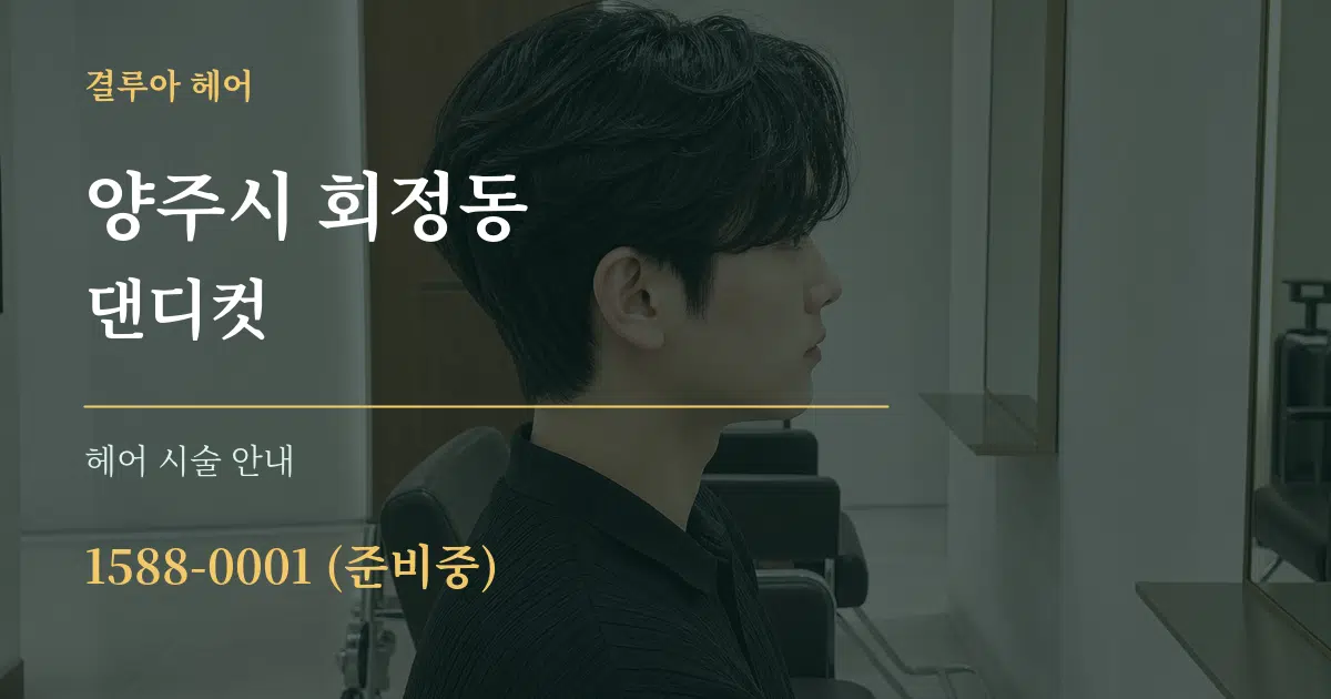양주시 회정동 댄디컷 대표 안내 그래픽
