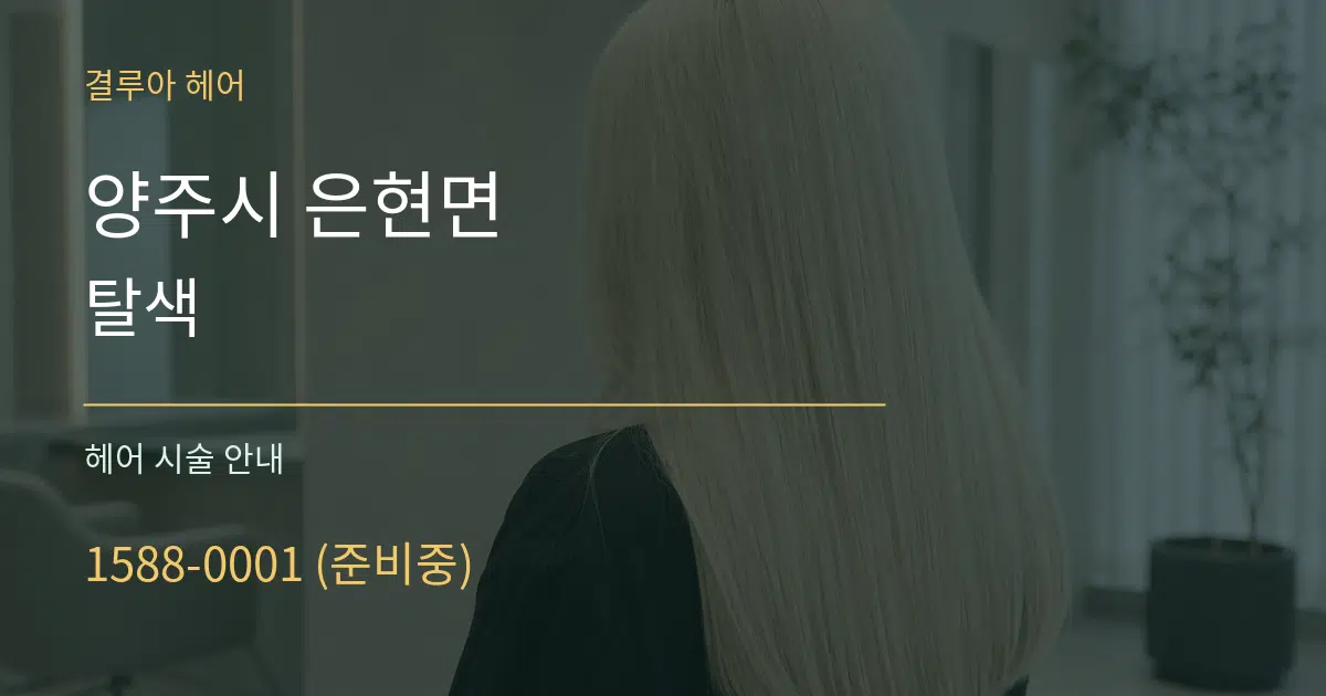 양주시 은현면 탈색 대표 안내 그래픽