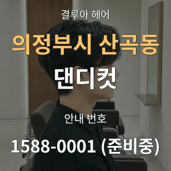 의정부시 산곡동 댄디컷 대표 안내 그래픽