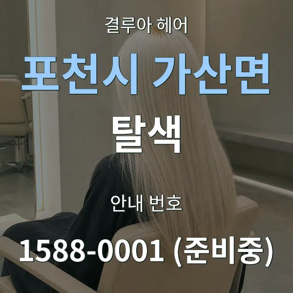 포천시 가산면 탈색 대표 안내 그래픽