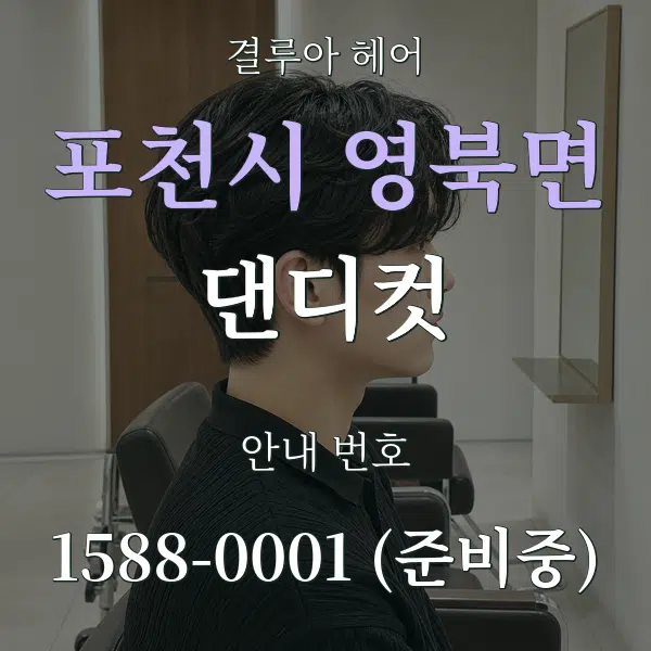 포천시 영북면 댄디컷 대표 안내 그래픽