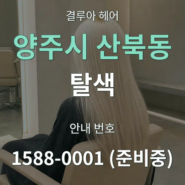 양주시 산북동 탈색 대표 안내 그래픽