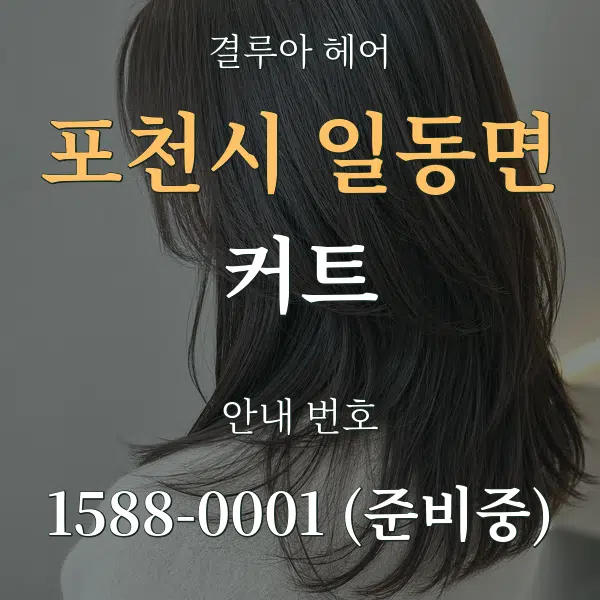 포천시 일동면 커트 대표 안내 그래픽