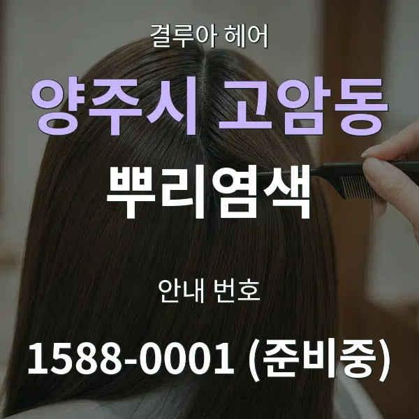 양주시 고암동 뿌리염색 대표 안내 그래픽