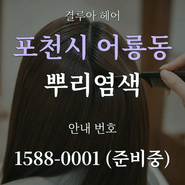 포천시 어룡동 뿌리염색 대표 안내 그래픽