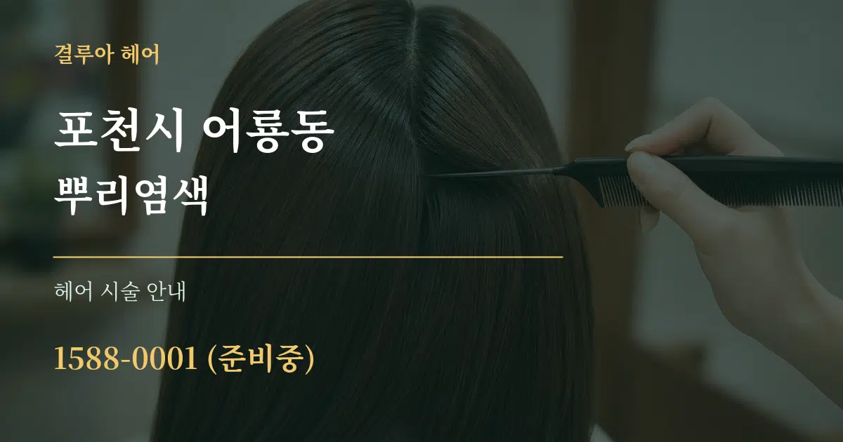 포천시 어룡동 뿌리염색 대표 안내 그래픽