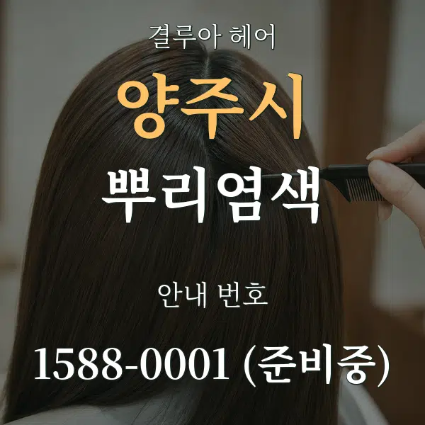 양주시 뿌리염색 대표 안내 그래픽