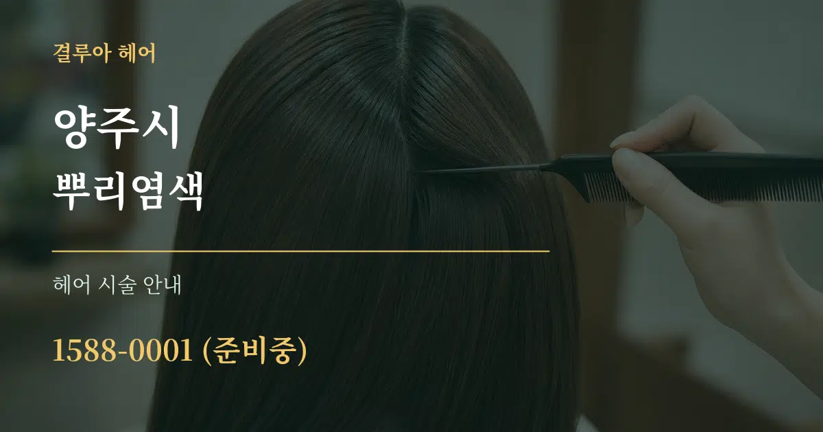 양주시 뿌리염색 대표 안내 그래픽