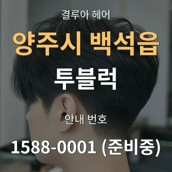 양주시 백석읍 투블럭 대표 안내 그래픽