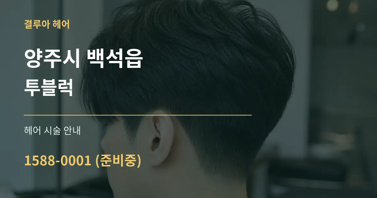 양주시 백석읍 투블럭 대표 안내 그래픽