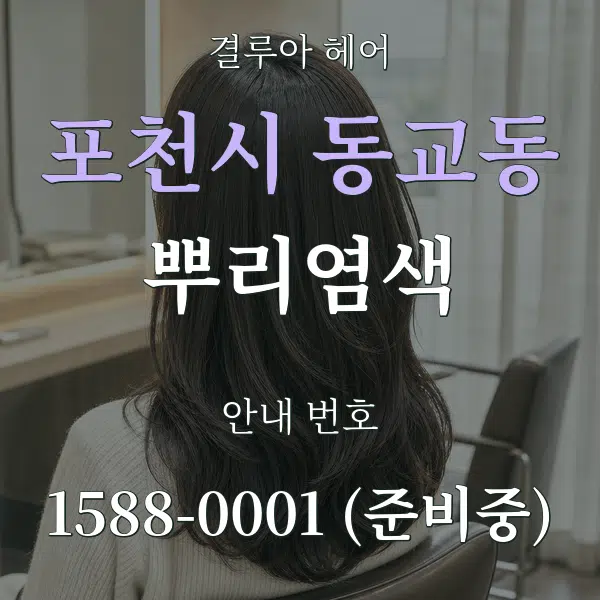 포천시 동교동 뿌리염색 대표 안내 그래픽