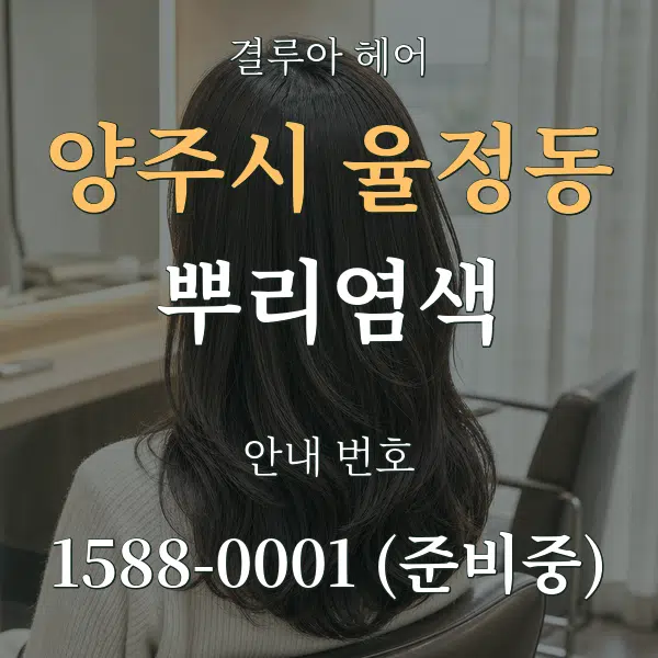 양주시 율정동 뿌리염색 대표 안내 그래픽