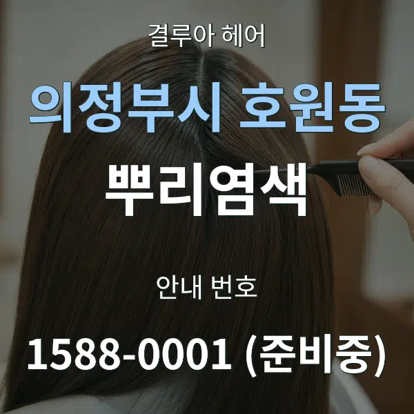 의정부시 호원동 뿌리염색 대표 안내 그래픽