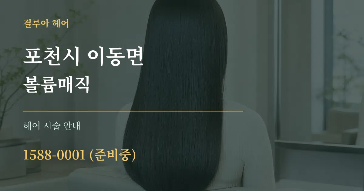 포천시 이동면 볼륨매직 대표 안내 그래픽