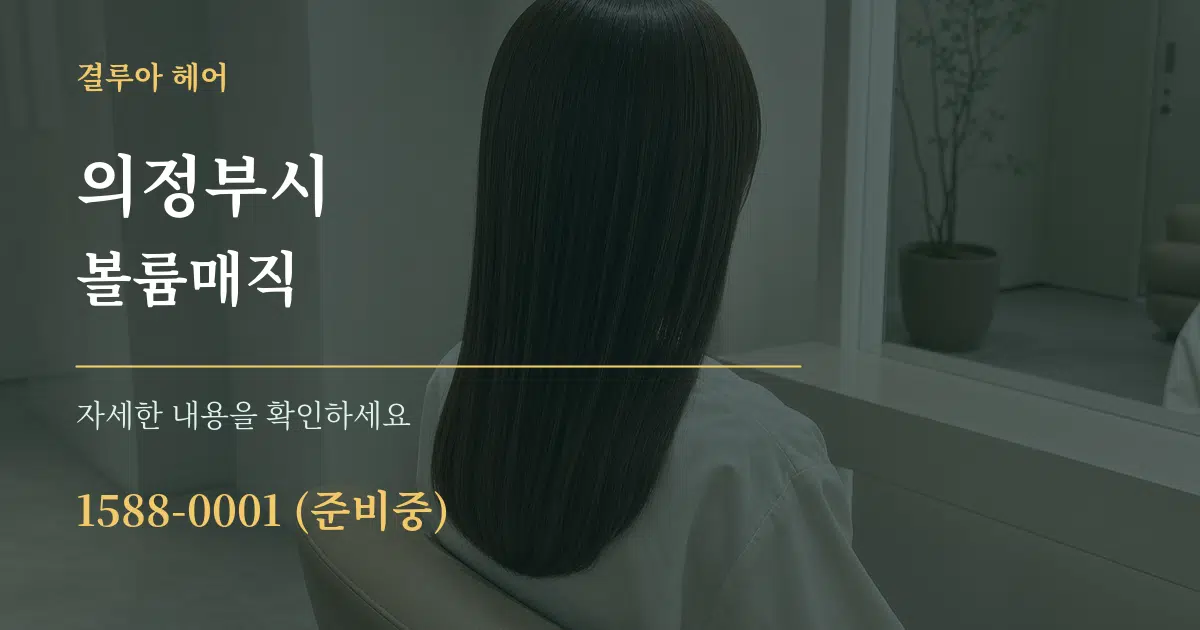 의정부시 볼륨매직 서비스 이용 안내 그래픽