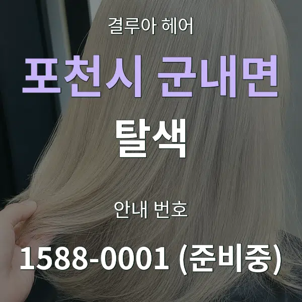 포천시 군내면 탈색 대표 안내 그래픽
