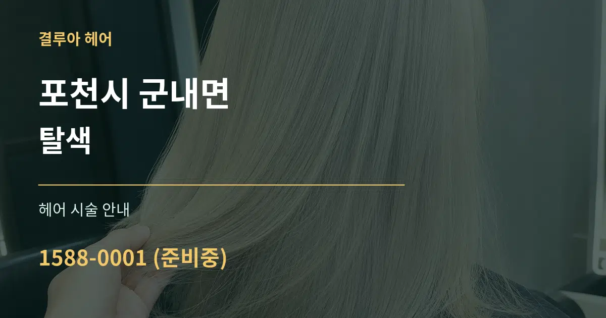 포천시 군내면 탈색 대표 안내 그래픽