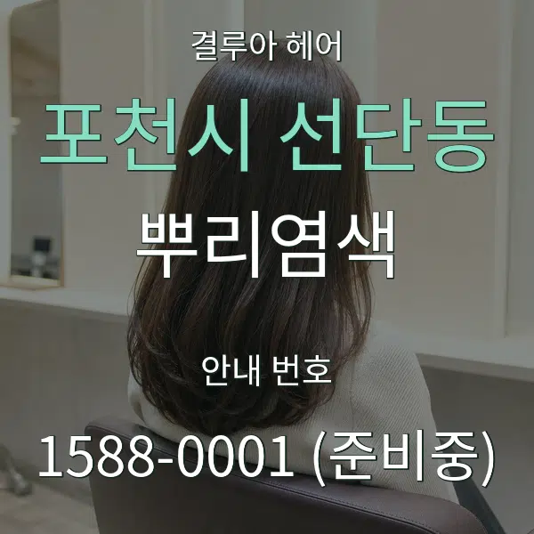 포천시 선단동 뿌리염색 대표 안내 그래픽