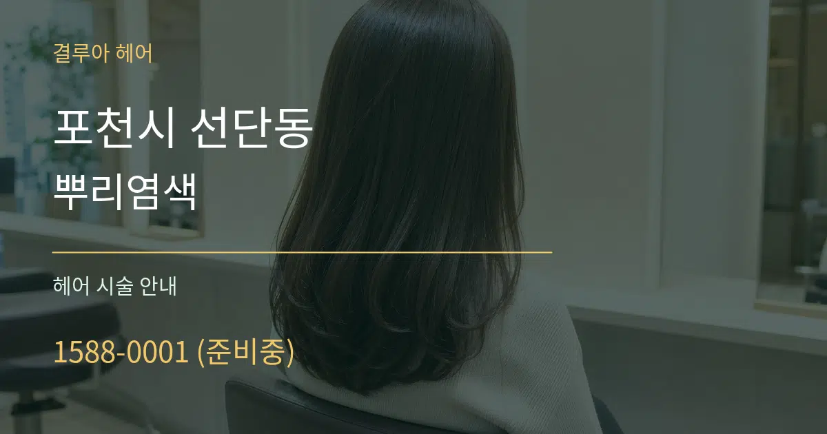 포천시 선단동 뿌리염색 대표 안내 그래픽