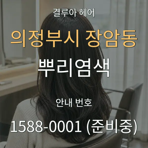의정부시 장암동 뿌리염색 대표 안내 그래픽