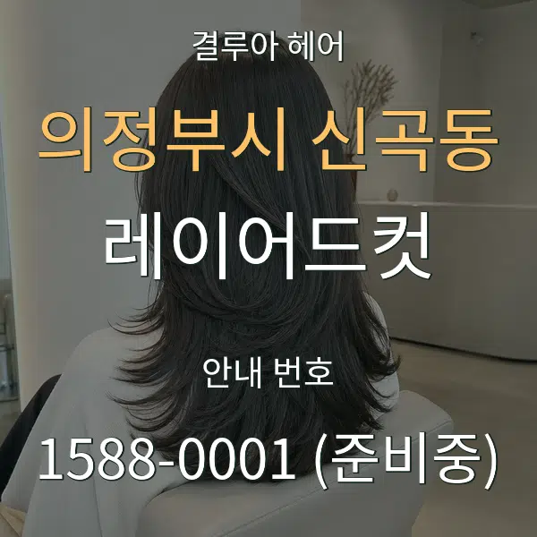 의정부시 신곡동 레이어드컷 대표 안내 그래픽