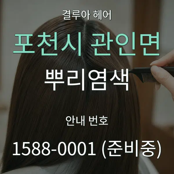 포천시 관인면 뿌리염색 대표 안내 그래픽