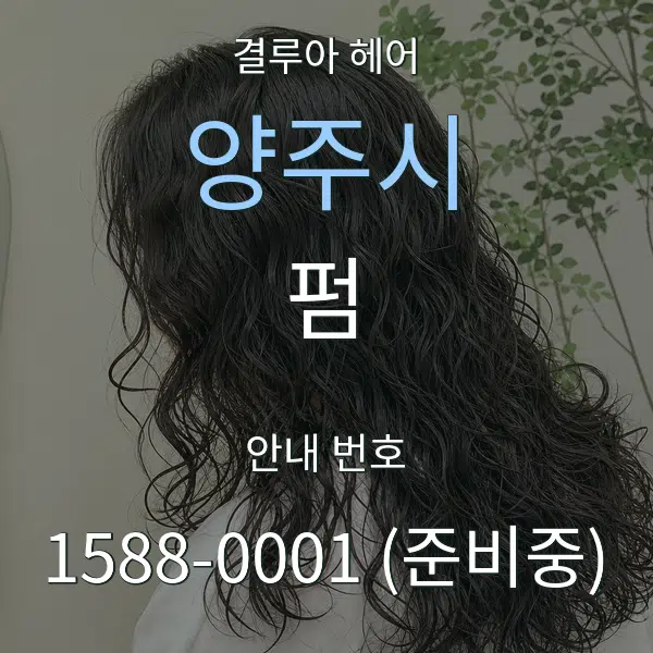 양주시 펌 대표 안내 그래픽
