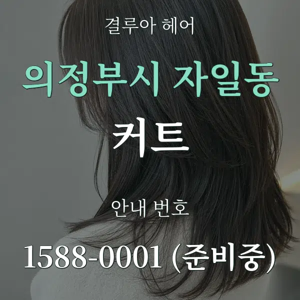 의정부시 자일동 커트 대표 안내 그래픽