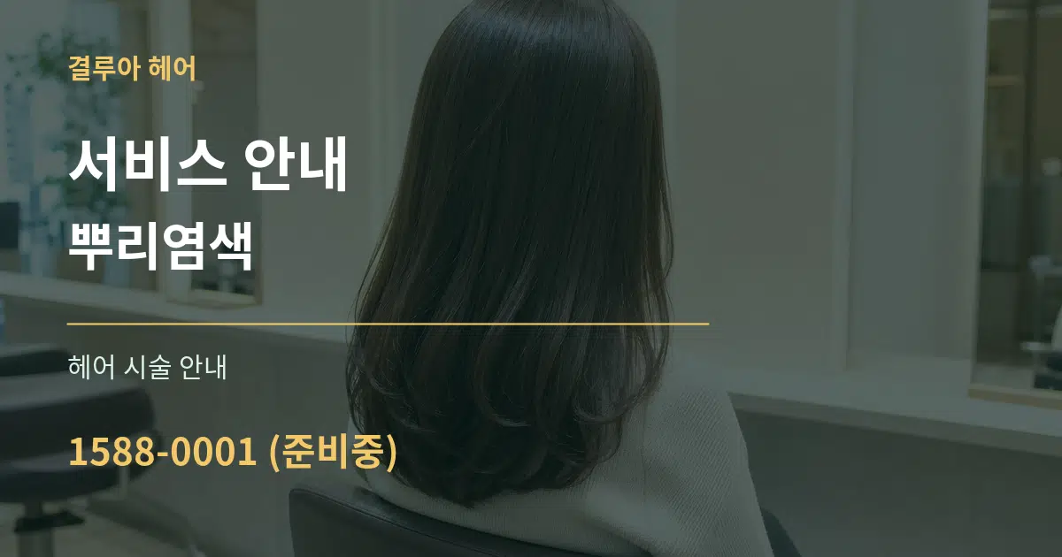 서비스 안내 뿌리염색 대표 안내 그래픽