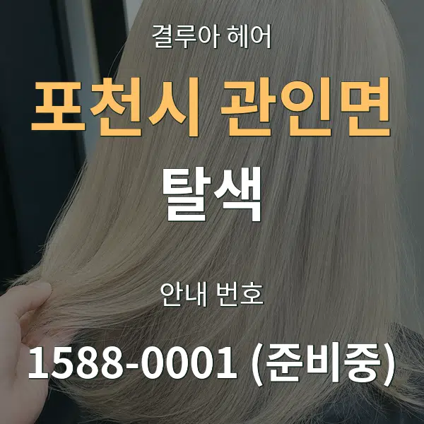 포천시 관인면 탈색 대표 안내 그래픽