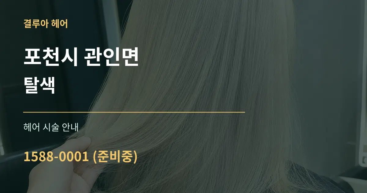 포천시 관인면 탈색 대표 안내 그래픽