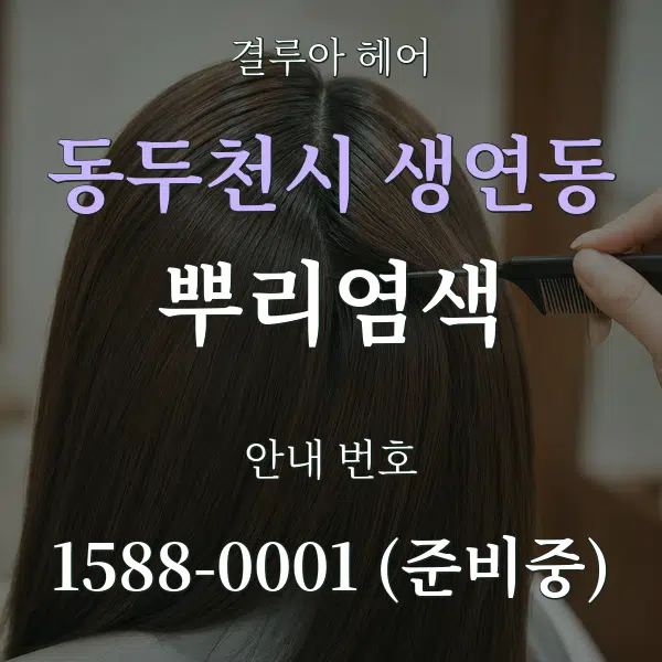 동두천시 생연동 뿌리염색 대표 안내 그래픽