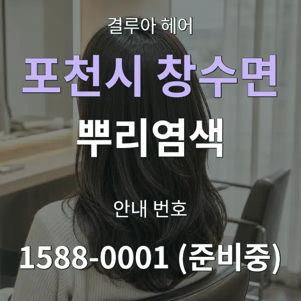포천시 창수면 뿌리염색 대표 안내 그래픽