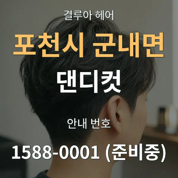 포천시 군내면 댄디컷 대표 안내 그래픽