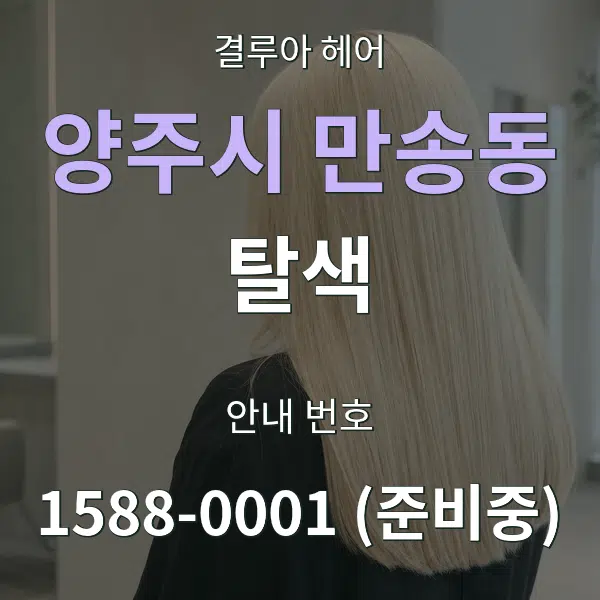 양주시 만송동 탈색 대표 안내 그래픽
