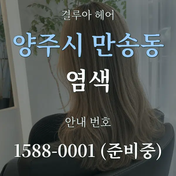 양주시 만송동 염색 대표 안내 그래픽
