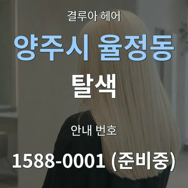 양주시 율정동 탈색 대표 안내 그래픽