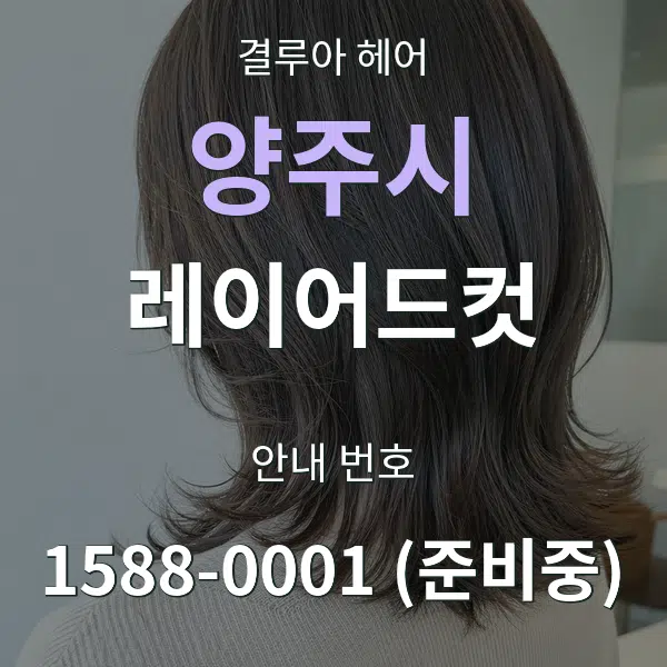 양주시 레이어드컷 대표 안내 그래픽