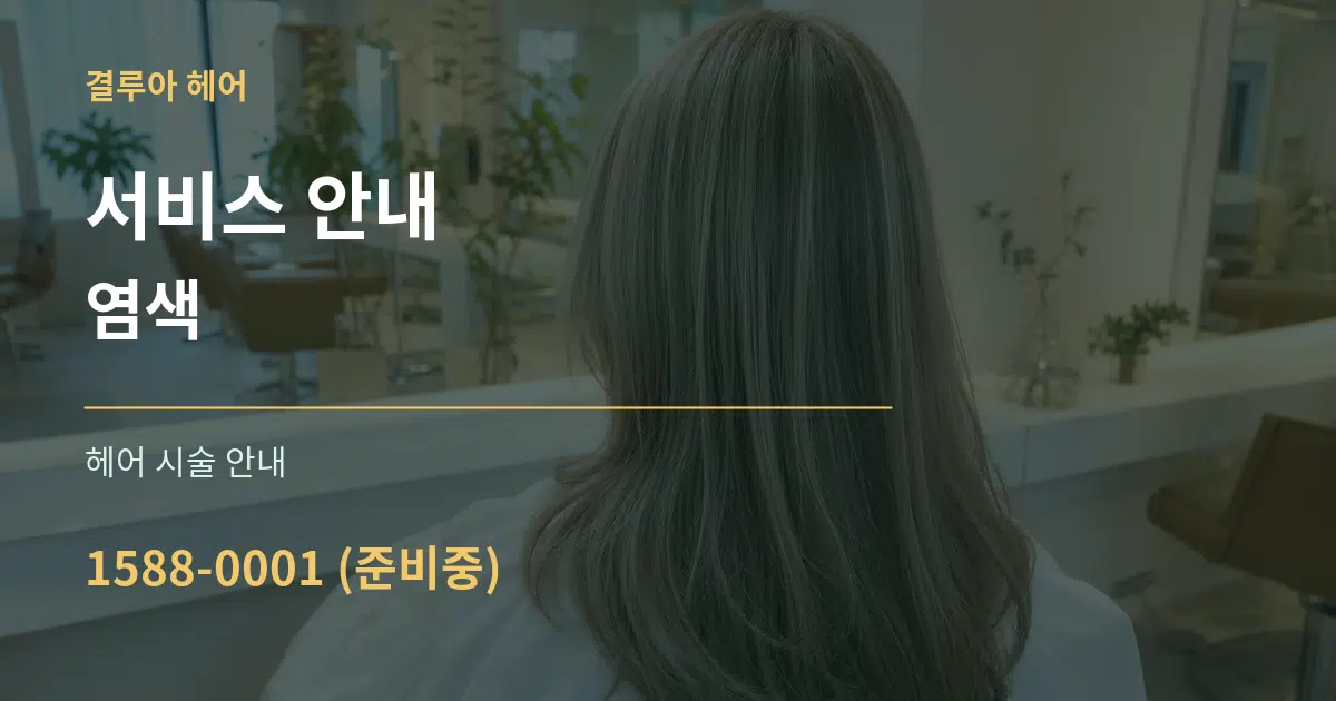 서비스 안내 염색 대표 안내 그래픽