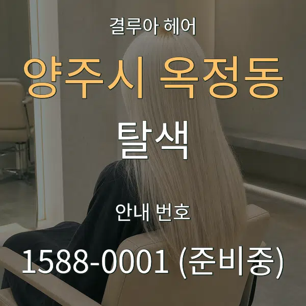 양주시 옥정동 탈색 대표 안내 그래픽