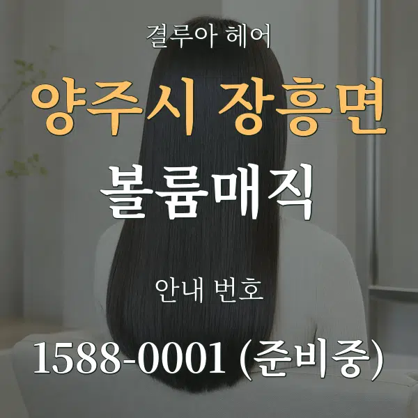 양주시 장흥면 볼륨매직 대표 안내 그래픽