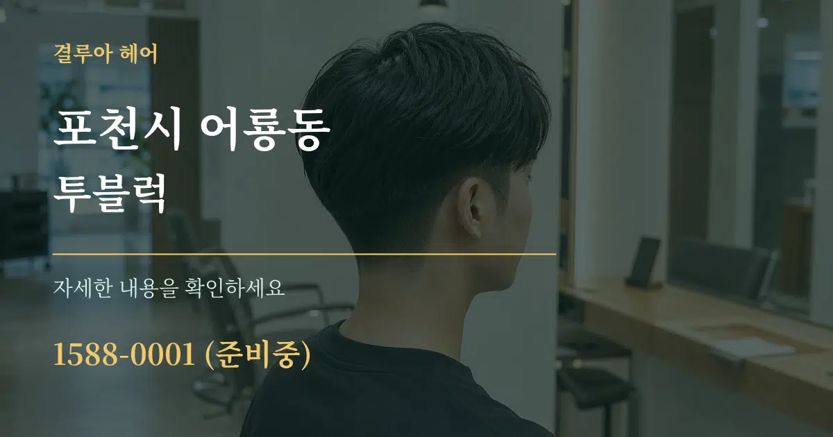 포천시 어룡동 투블럭 서비스 이용 안내 그래픽