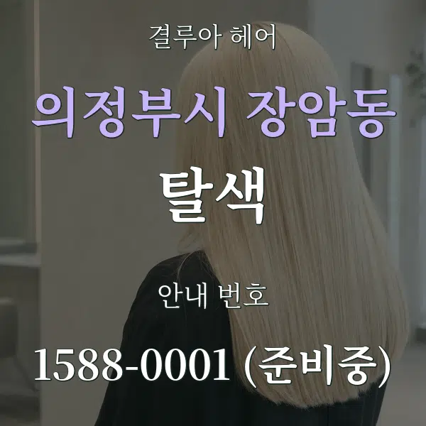 의정부시 장암동 탈색 대표 안내 그래픽
