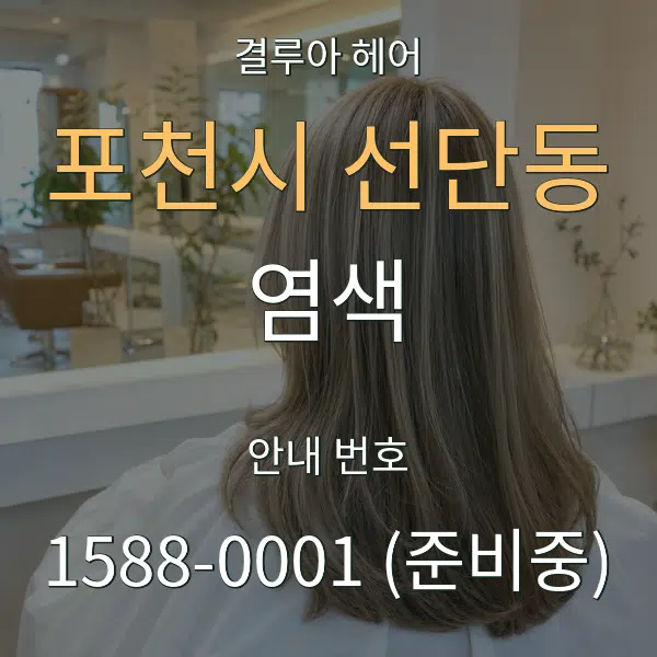 포천시 선단동 염색 대표 안내 그래픽
