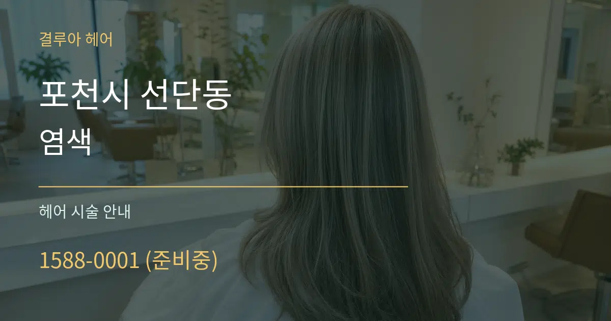 포천시 선단동 염색 대표 안내 그래픽