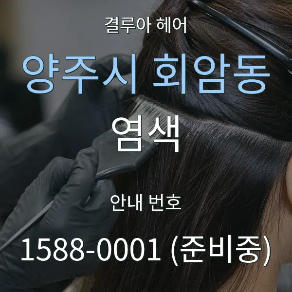 양주시 회암동 염색 대표 안내 그래픽