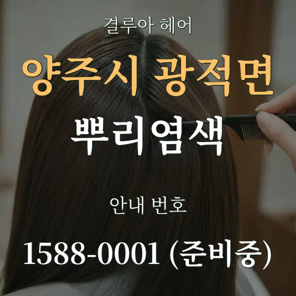 양주시 광적면 뿌리염색 대표 안내 그래픽
