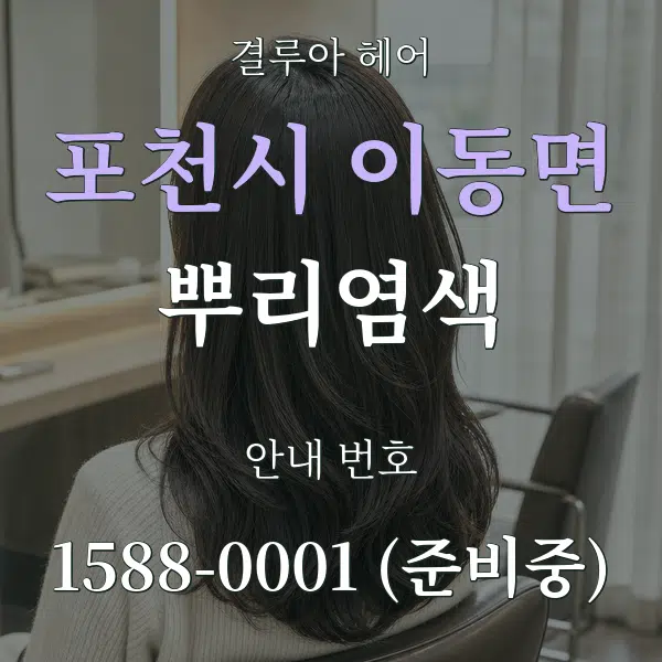 포천시 이동면 뿌리염색 대표 안내 그래픽