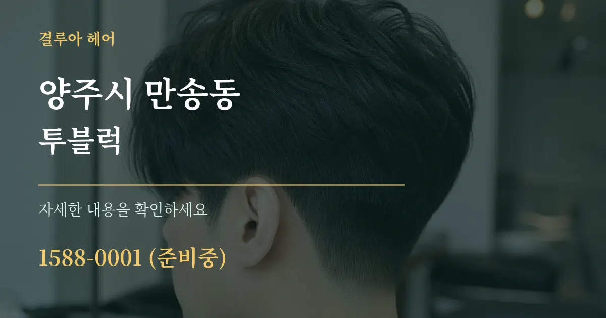 양주시 만송동 투블럭 서비스 이용 안내 그래픽
